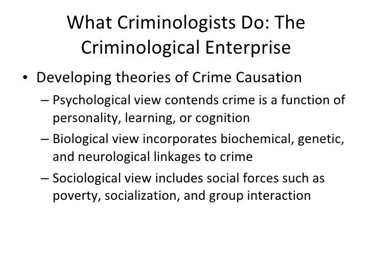 Social Justice Theories Issues and Movements Critical Issues in Crime and Society